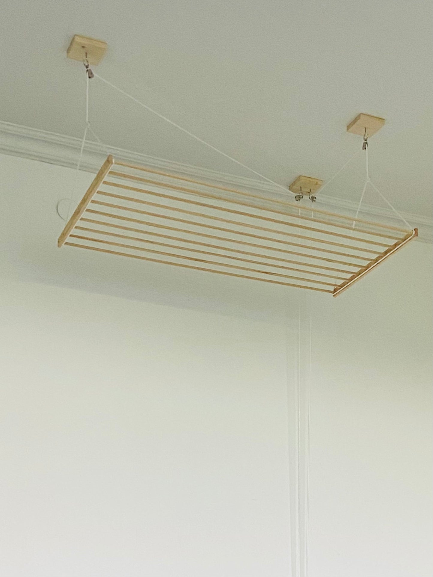 Ceiling Hanging Drying Rack (Ceiling Clothes Dryer)