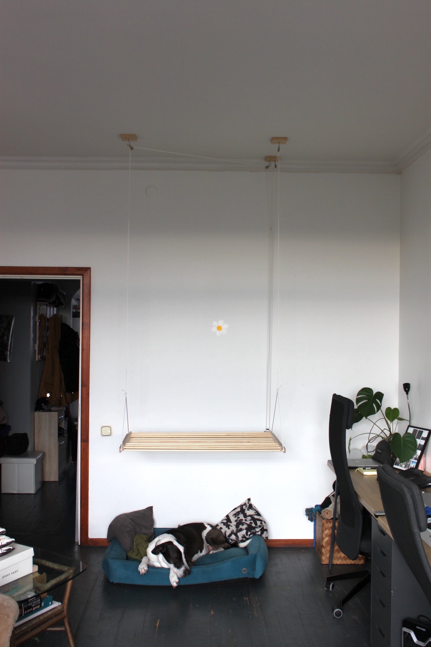 Ceiling Hanging Drying Rack