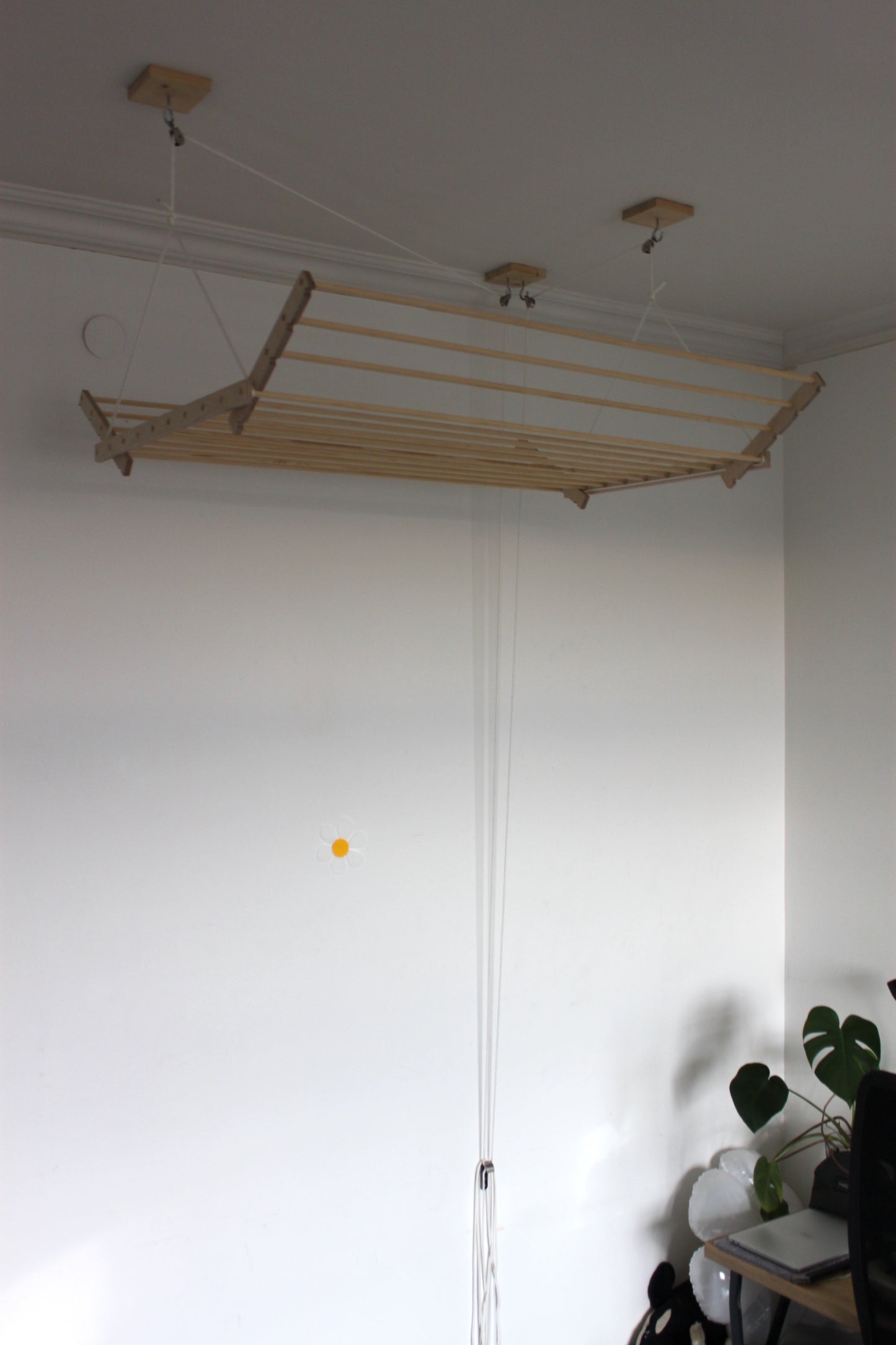 Ceiling Hanging Drying Rack