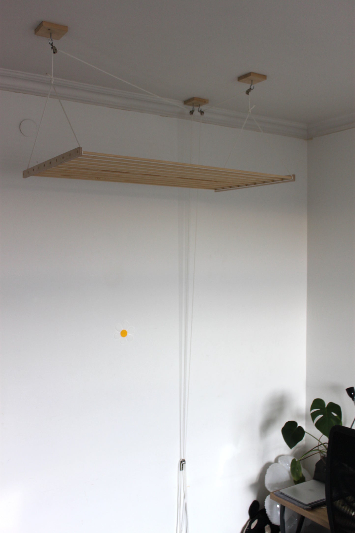 Ceiling Hanging Drying Rack