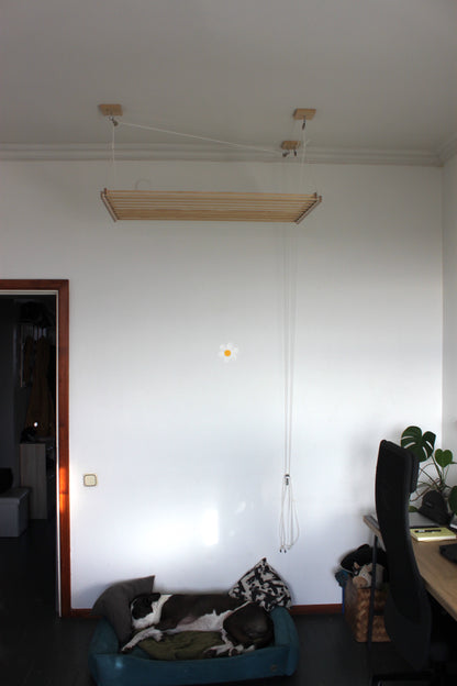 Ceiling Hanging Drying Rack