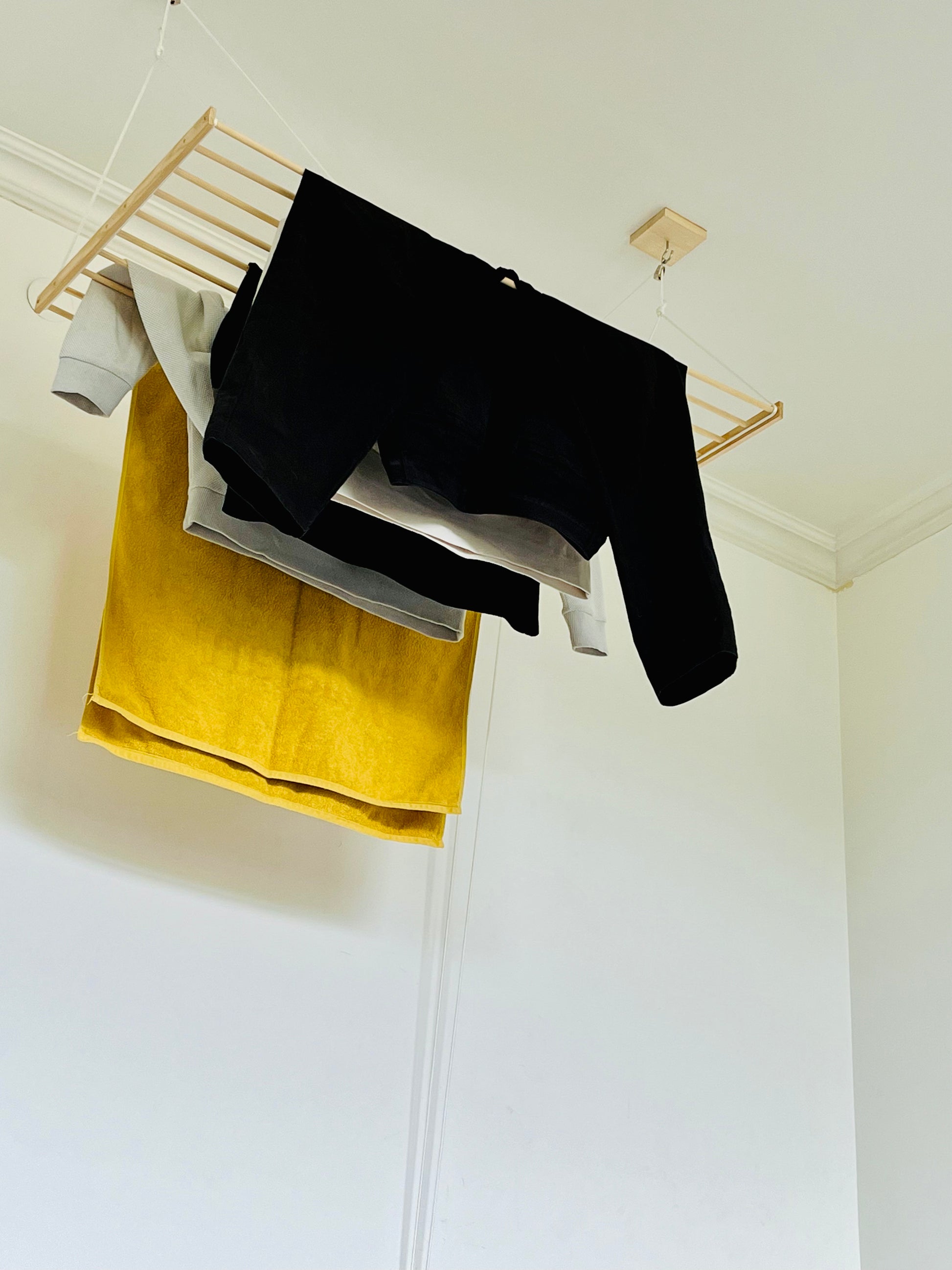 Ceiling Hanging Drying Rack (Ceiling Clothes Dryer)